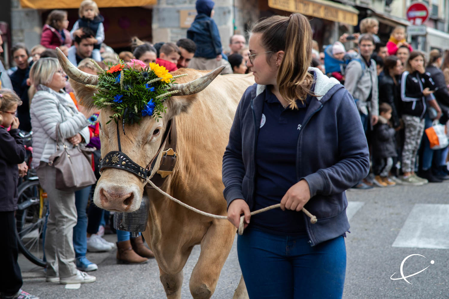 Descente de l'alpage 2019