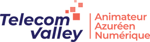 logo telecom valley